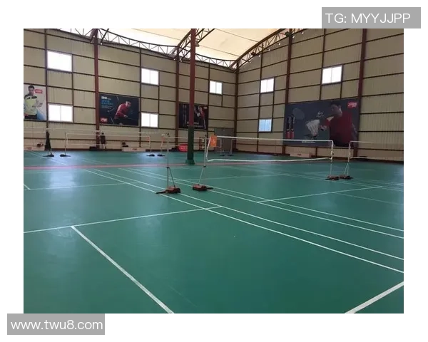 上海羽毛球队的管理模式与发展策略深度解析